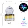 Multi-Color Fish Lure Light